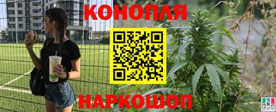 каннабис Бузулук
