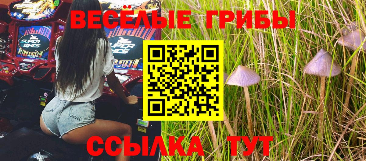 Псилоцибиновые грибы MAGIC MUSHROOMS  Вход с VPN  Саров 